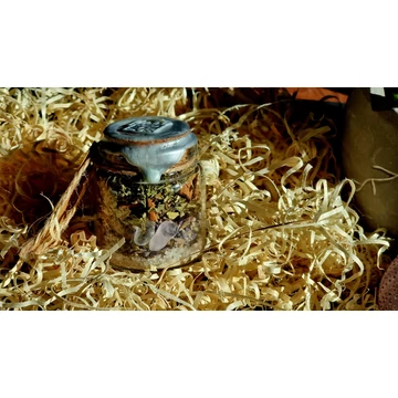 Erőfiolák - FÁJDALOM